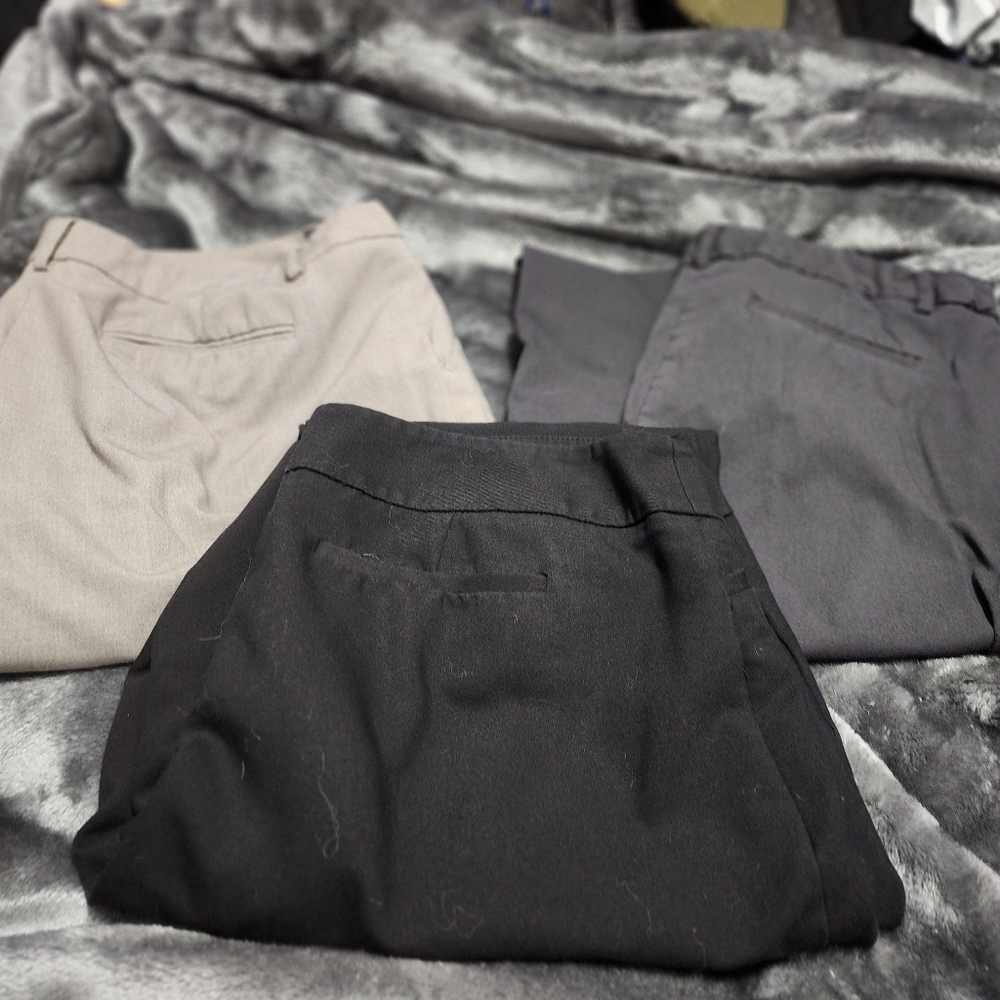 Dress pants